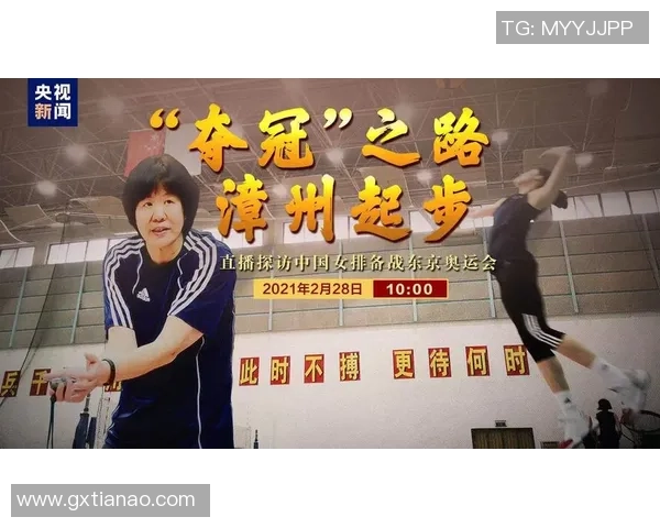 西安排球队的拼搏历程与总决赛背后的故事揭秘