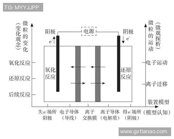 西安排球队在奥运会上的速度表现分析与点评